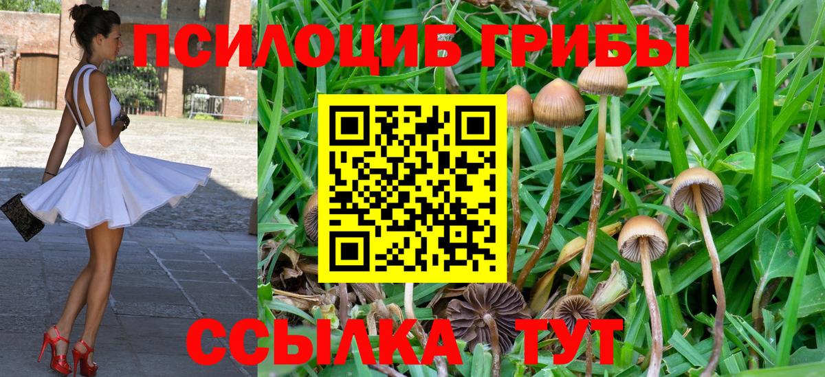 Галлюциногенные грибы Psilocybe  Вход с VPN  даркнет сайт  Псилоцибиновые грибы MAGIC MUSHROOMS  Сыктывкар 