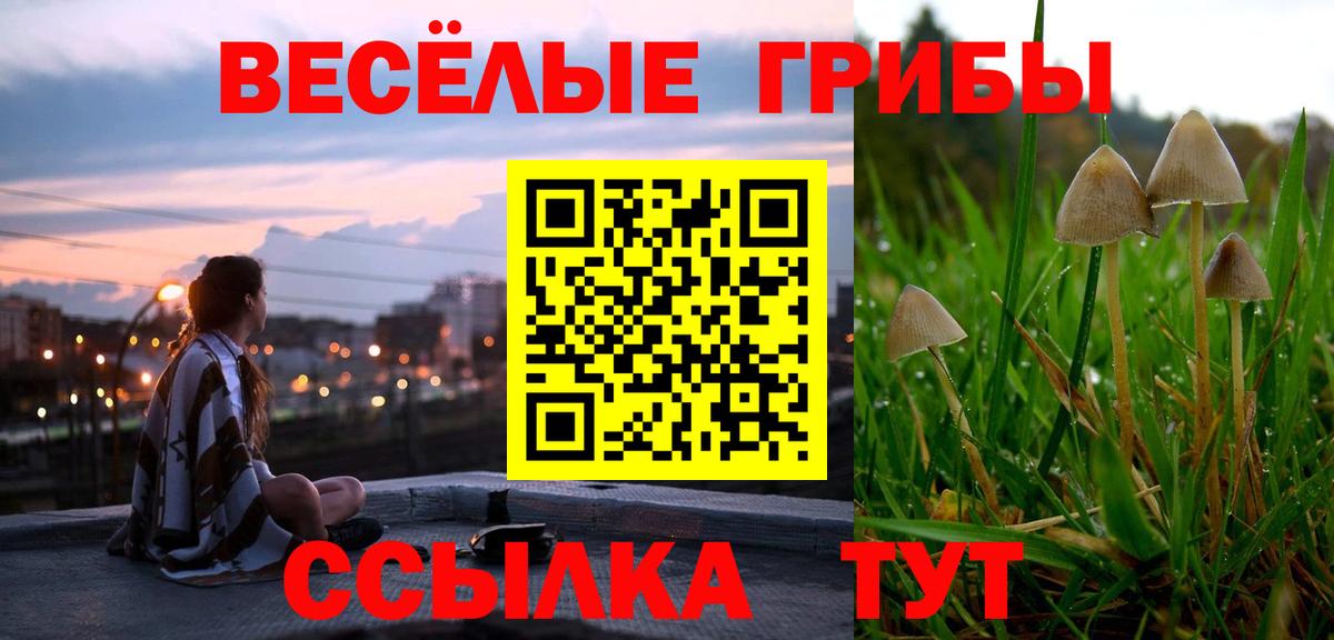 Псилоцибиновые грибы Cubensis Сыктывкар